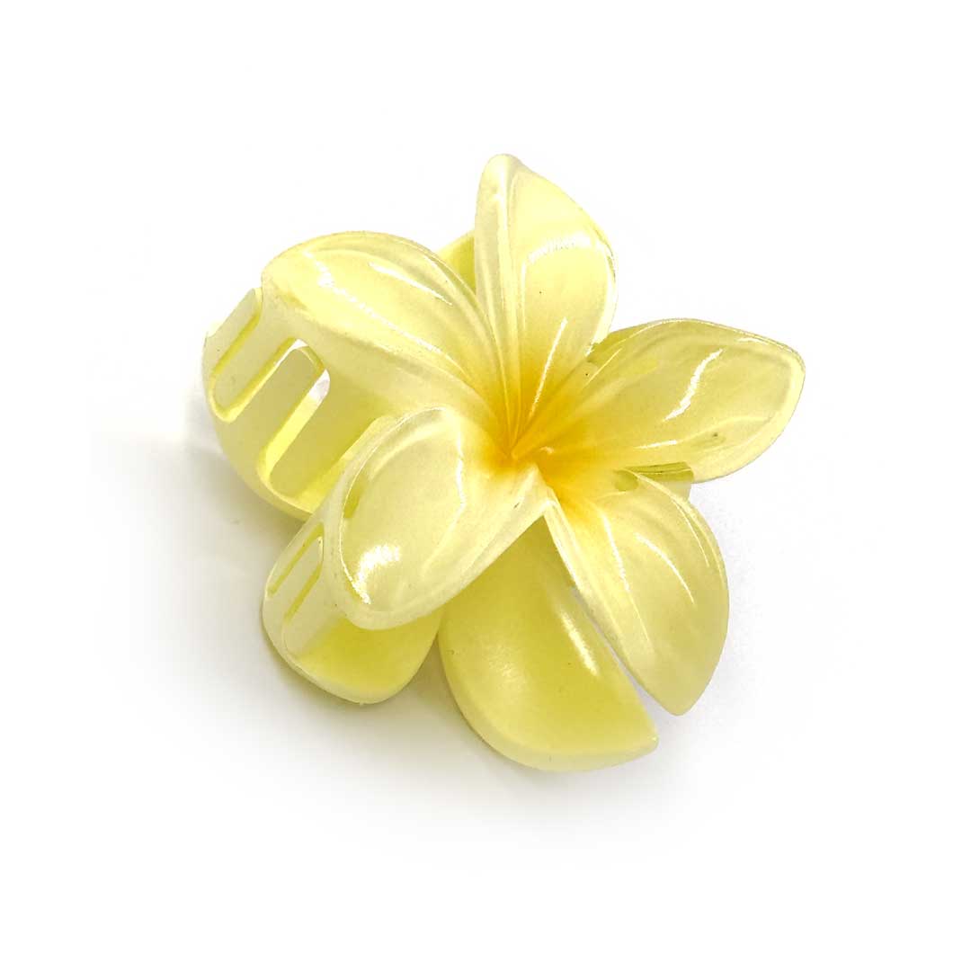 Blomster Hårklemme Pineapple